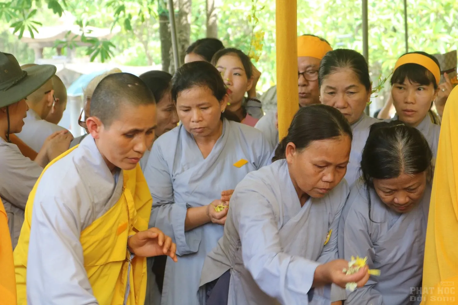 Huế: Lễ cung tống kim quan nhập bảo tháp cố HT.Thích Đức Phương 41 Huế: Lễ cung tống kim quan nhập bảo tháp cố HT.Thích Đức Phương image-1732291600763