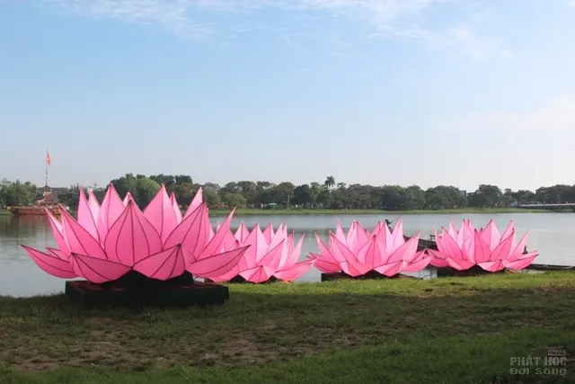 Huế: Truyền thống đặt 7 hoa sen trên sông Hương mùa Phật đản image-1731935216776