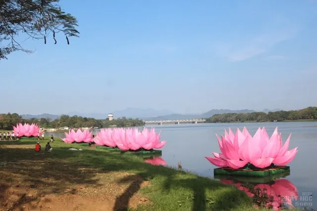 Huế: Truyền thống đặt 7 hoa sen trên sông Hương mùa Phật đản image-1731935217434