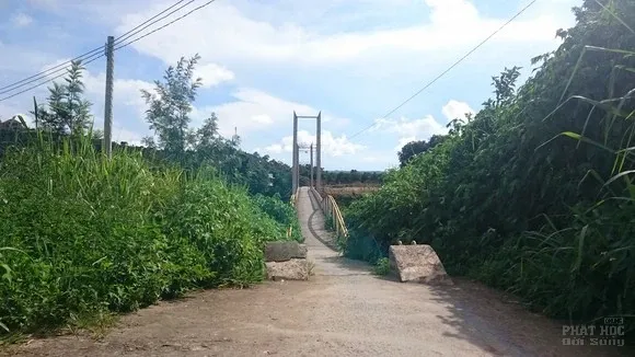 Hương lộ Phú An - con đường hạnh nguyện image-1732286079958