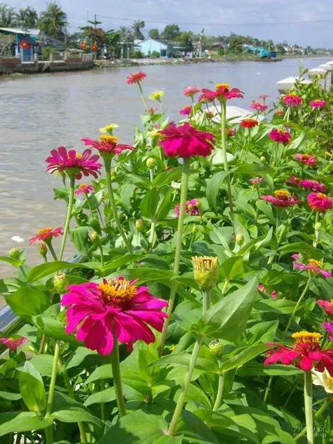 Khoảng lặng bên bở kè kênh đào image-1731932209974