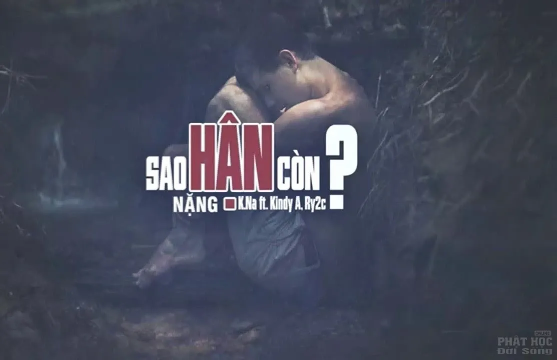 Không hận thù giữa hận thù image-1731935566094