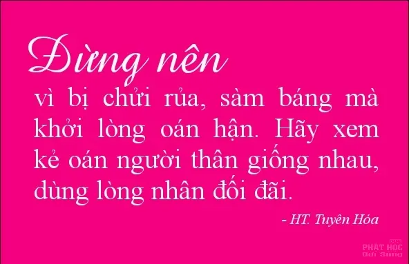 Không hận thù giữa hận thù image-1731935567258