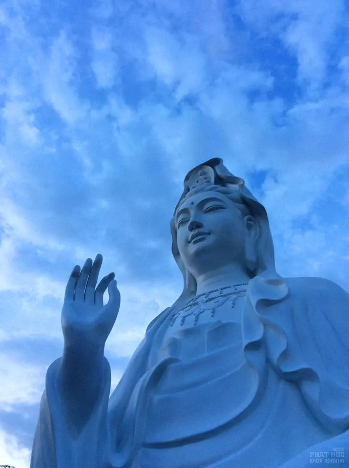 Krông Ana: Sắp tới tổ chức lễ bổ nhiệm trụ trì Niệm Phật Đường Thiện Ân  Krông Ana: Sắp tới tổ chức lễ bổ nhiệm trụ trì Niệm Phật Đường Thiện Ân image-1731939962494