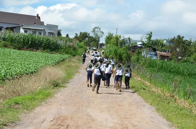 Lâm Đồng: 800 trại sinh tham dự trại Họp Bạn Lục Hoà Lần Thứ VI 6 Lâm Đồng: 800 trại sinh tham dự trại Họp Bạn Lục Hoà Lần Thứ VI image-1731920662960