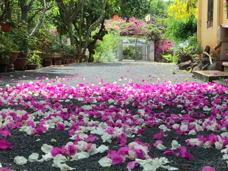 Làm thế nào để có một đời sống tại gia an vui hạnh phúc? image-1731935820446