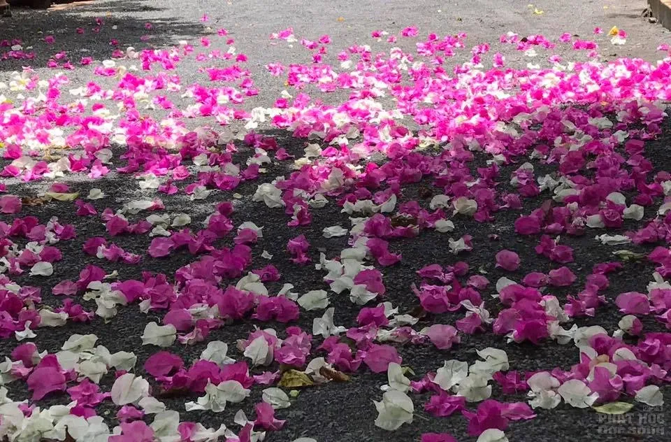 Làm thế nào để có một đời sống tại gia an vui hạnh phúc? image-1731935821610