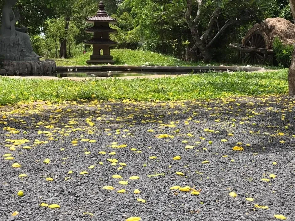 Làm thế nào để có một đời sống tại gia an vui hạnh phúc? image-1731935822773