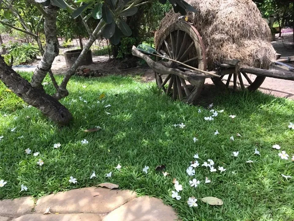 Làm thế nào để có một đời sống tại gia an vui hạnh phúc? image-1731935823934