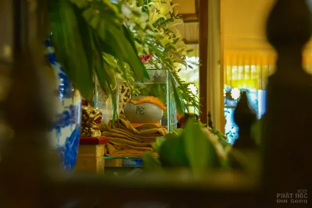 Lễ cung tống kim quan nhập bảo tháp cố HT Thích Trung Hậu image-1731945380245