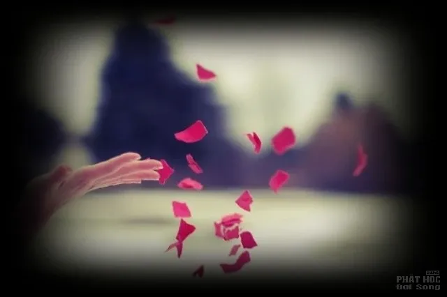 Mỉm cười trong kiếp nhân sinh 2 Mỉm cười trong kiếp nhân sinh image-1731725854906