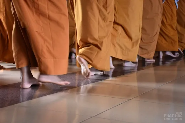 Một ngày tu tập tại trường hạ Phước Thiện 7 Một ngày tu tập tại trường hạ Phước Thiện image-1731936757719