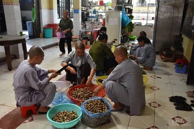 Một ngày tu tập tại trường hạ Phước Thiện 12 Một ngày tu tập tại trường hạ Phước Thiện image-1731936761129