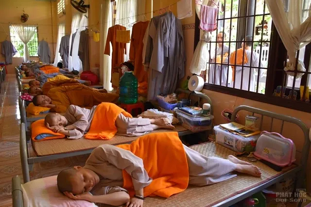 Một ngày tu tập tại trường hạ Phước Thiện image-1731936766660