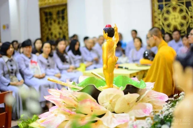 Mừng hội Vesak về chùa tắm Phật quy y 14 Mừng hội Vesak về chùa tắm Phật quy y image-1731747084397