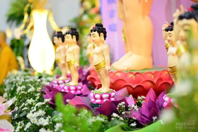 Mừng hội Vesak về chùa tắm Phật quy y 15 Mừng hội Vesak về chùa tắm Phật quy y image-1731747084860