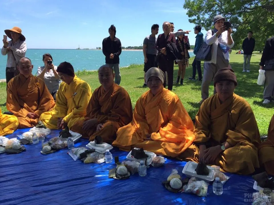 Mỹ: Hình ảnh khất thực hiếm có tại Tp Chicago image-1731747981147