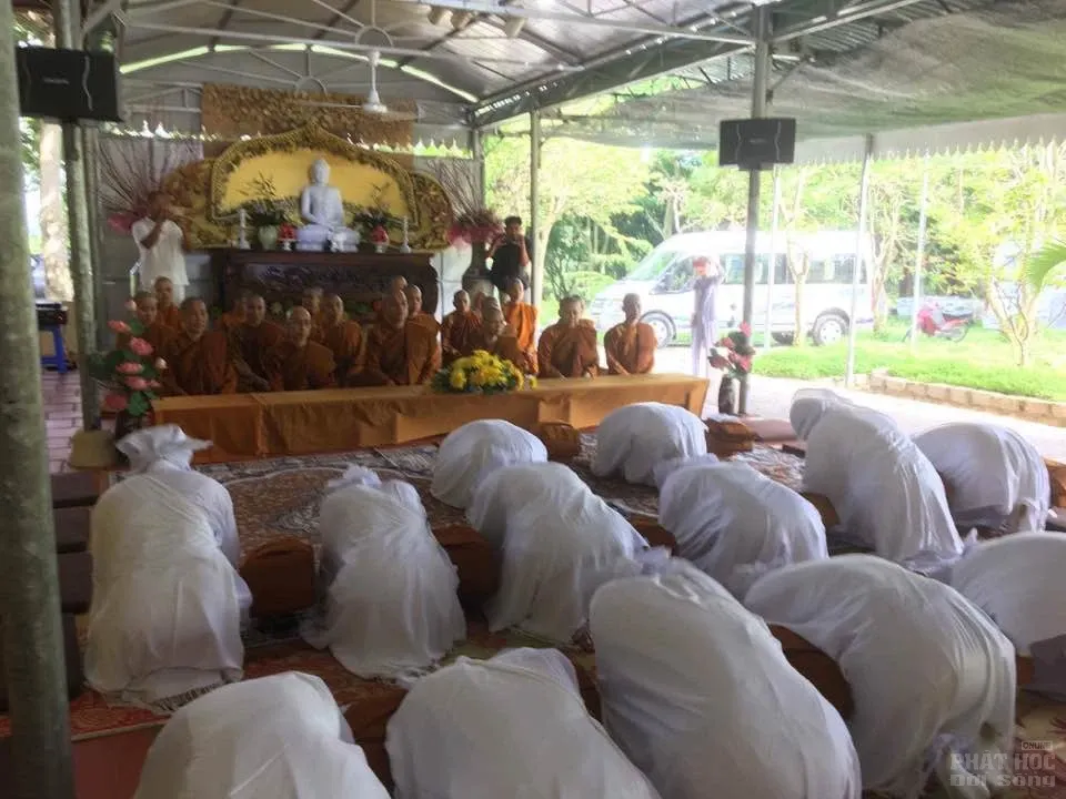 Nét đẹp của 14 nữ tu xuống tóc theo Phật 8 Nét đẹp của 14 nữ tu xuống tóc theo Phật image-1731940323479