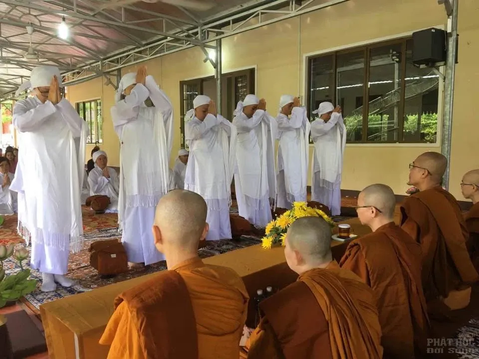 Nét đẹp của 14 nữ tu xuống tóc theo Phật 9 Nét đẹp của 14 nữ tu xuống tóc theo Phật image-1731940324426