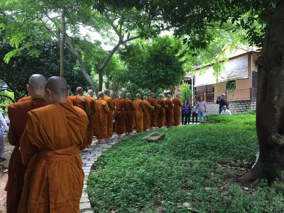 Nét đẹp của 14 nữ tu xuống tóc theo Phật 14 Nét đẹp của 14 nữ tu xuống tóc theo Phật image-1731940329468