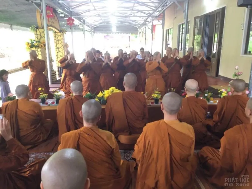 Nét đẹp của 14 nữ tu xuống tóc theo Phật 17 Nét đẹp của 14 nữ tu xuống tóc theo Phật image-1731940332605