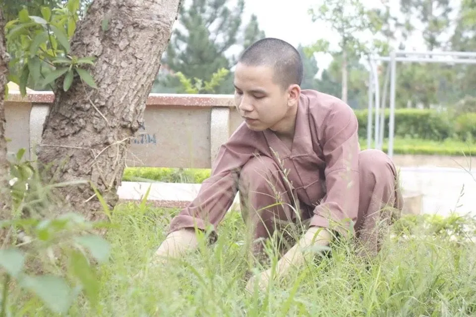 Nét đẹp giờ chấp tác của Tăng Ni sinh Trường TCPH Hà Nội image-1731921035417