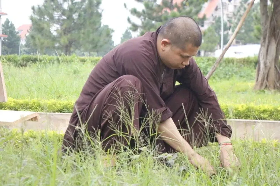 Nét đẹp giờ chấp tác của Tăng Ni sinh Trường TCPH Hà Nội image-1731921039717