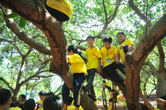 Ngày thứ 3: Khóa tu mùa hè 2016 Phật giáo Bình Phước 10 Ngày thứ 3: Khóa tu mùa hè 2016 Phật giáo Bình Phước image-1731747606864