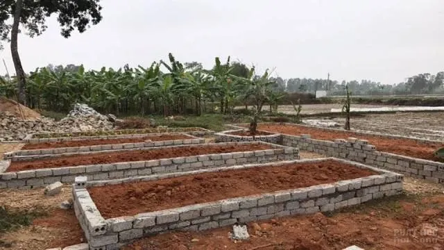 Nghệ An: Chùa Đồng Tương ấm áp mừng lễ vía Phật Thích Ca thành đạo image-1731932104301