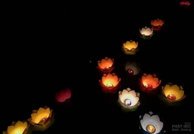 Nghệ An: Chùa Đồng Tương ấm áp mừng lễ vía Phật Thích Ca thành đạo image-1731932109930