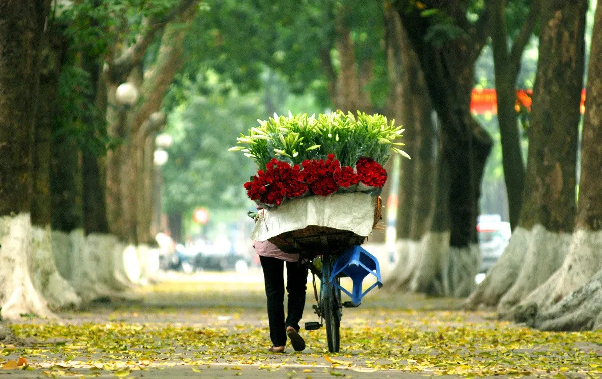Người Việt không xấu xí: Cái vỉa hè và nỗi ngại ‘mang tiếng’ image-1731940070037