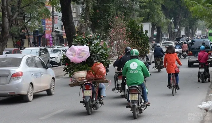 Nguy hiểm từ việc chở cây cảnh ngày Tết image-1732288951394