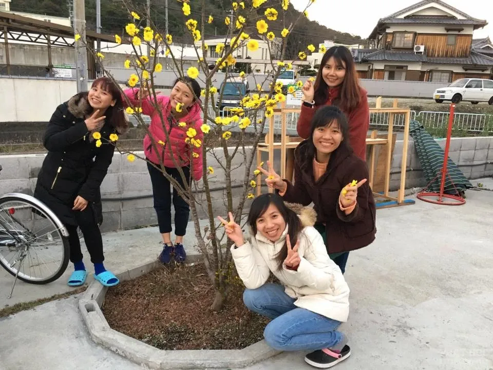 Nhật Bản: Không khí đón xuân 2017 tại Chùa Hòa Lạc Kobe image-1731932960890