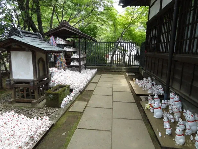 Nhật Bản: ngôi chùa riêng thờ con mèo ‘siêu may mắn’ image-1731746715036