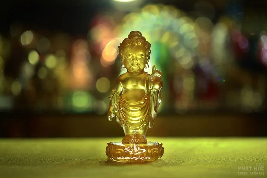 Nhiều mẫu tượng Đản sanh xuất hiện tại Việt Nam image-1731935593221