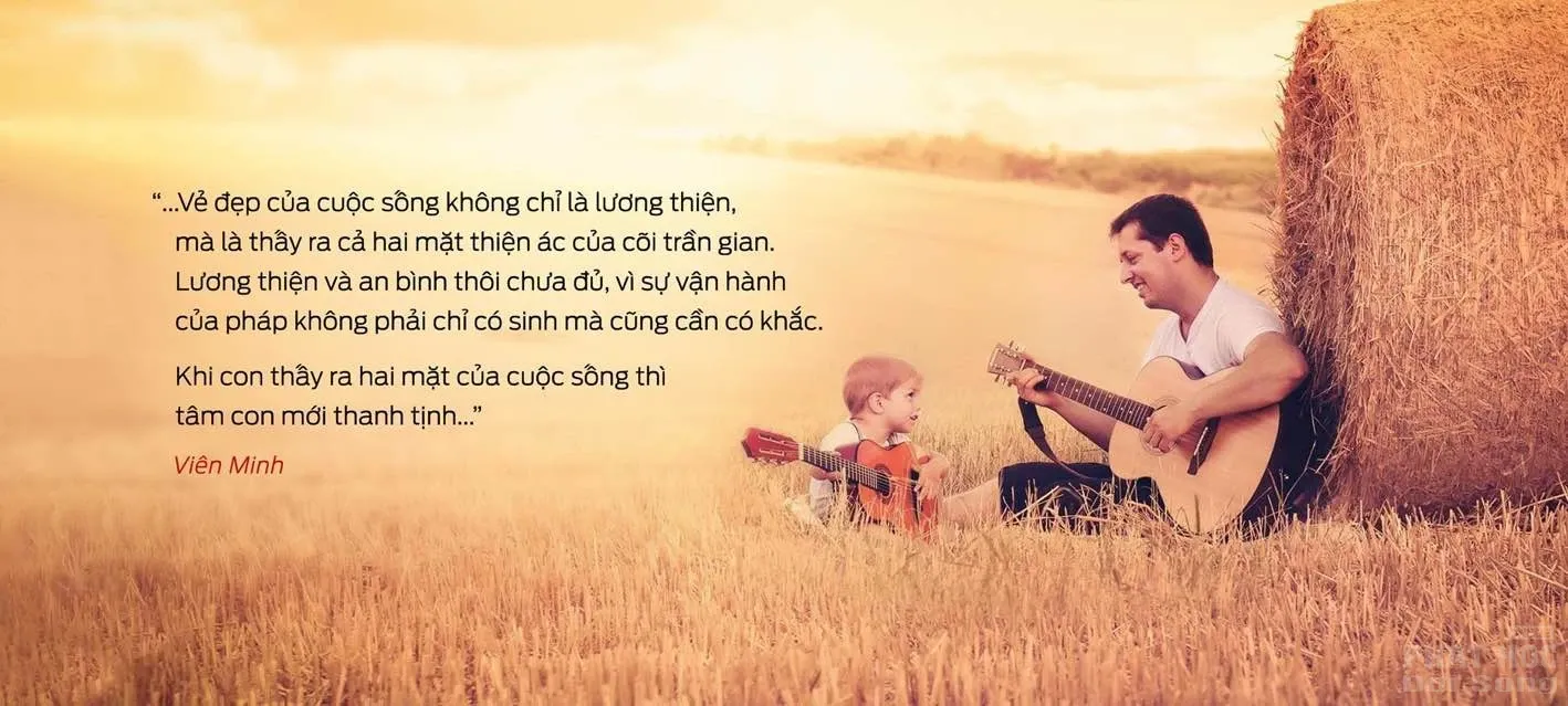 Những câu nói hay của Sư Viên Minh Những câu nói hay của Sư Viên Minh làm thay đổi cuộc đời bạn image-1731936495634