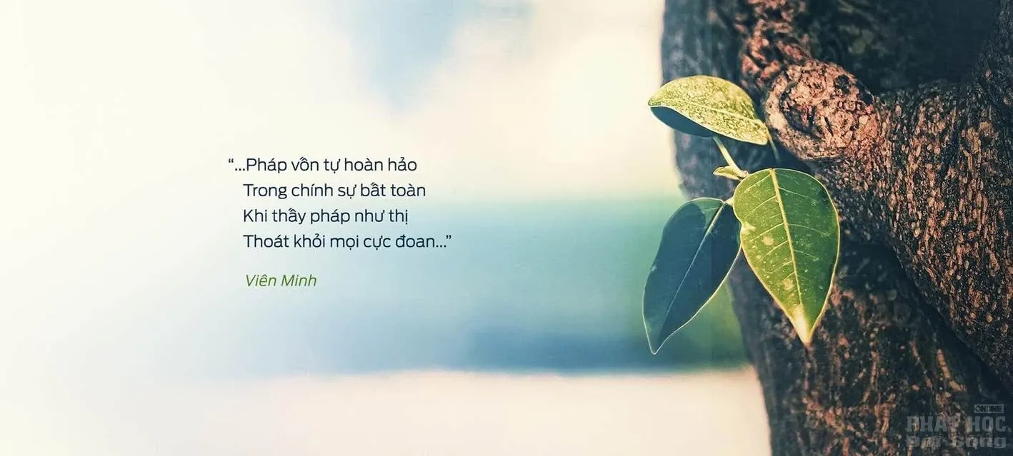 Những câu nói hay của Sư Viên Minh làm thay đổi cuộc đời bạn image-1731936496700