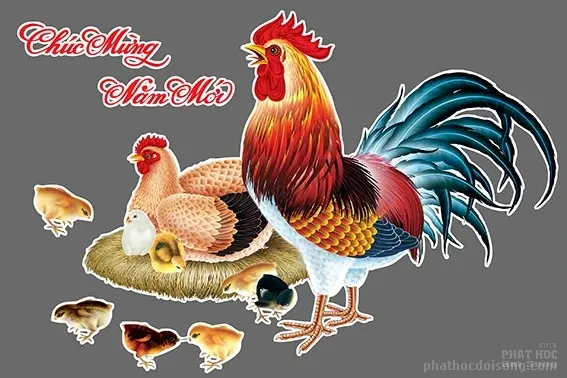 Những chú gà ngày xuân Đinh dậu 2017 image-1731932975643