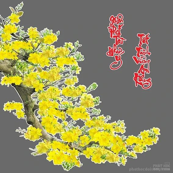 Những chú gà ngày xuân Đinh dậu 2017 image-1731932976159