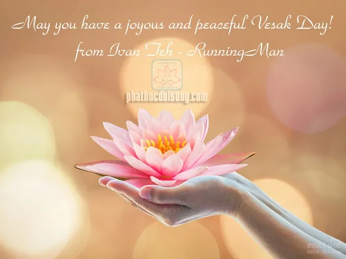 Những mẫu thiệp chúc mừng Đại lễ Phật đản Vesak PL: 2562 image-1731945540680
