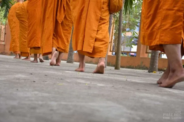 Những người con gái Phật đang thực hành pháp môn Giới – Định - Tuệ image-1731944694002