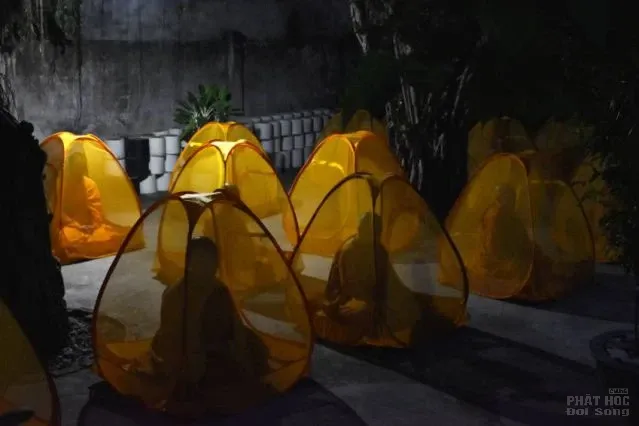 Những người con gái Phật đang thực hành pháp môn Giới – Định - Tuệ image-1731944717757