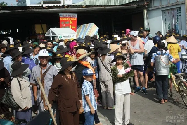 Ni viện Phước Long tổ chức phóng sinh đầu năm Bính Thân - 2016 image-1731726232035