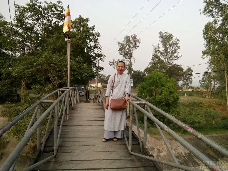 Núi Phổ Đà Sơn tại chùa Phước Quang tỉnh Quảng Nam image-1731745991017