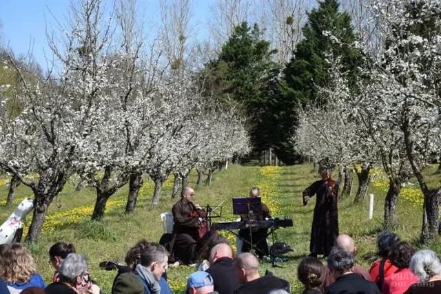 Pháp: Hội hoa mai ở Xóm Hạ - Làng Mai image-1731936988320