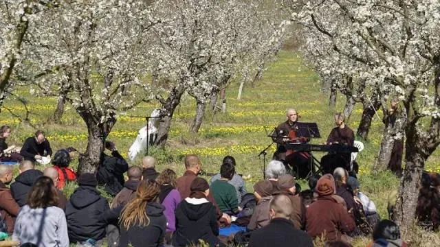 Pháp: Hội hoa mai ở Xóm Hạ - Làng Mai image-1731936992725