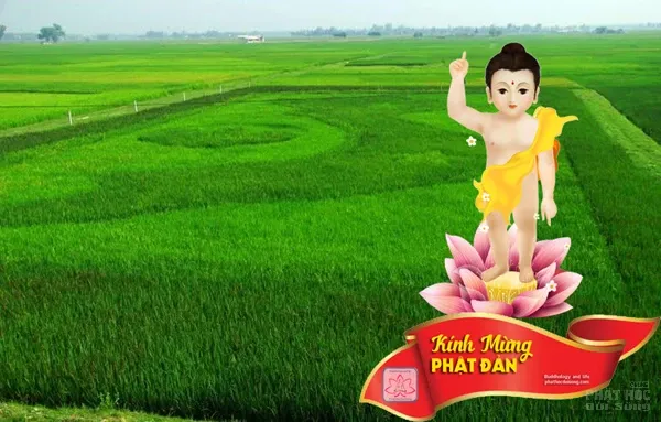 Phật đản trên quê hương Việt Nam image-1731746474864