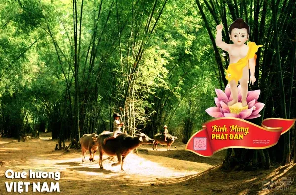 Phật đản trên quê hương Việt Nam image-1731746477090