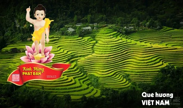 Phật đản trên quê hương Việt Nam image-1731746478402