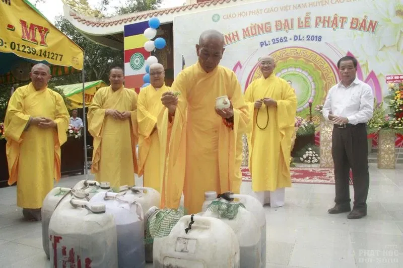 Phật giáo huyện Cao Lãnh mừng Đại lễ Phật đản PL 2562 image-1732292353893